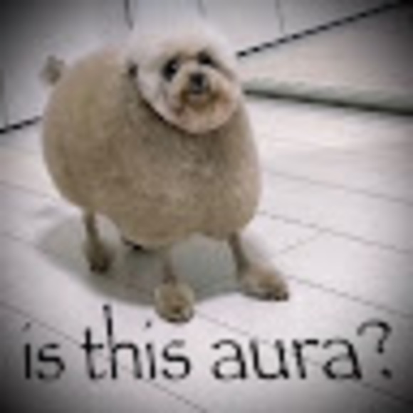 zaratheguitara
